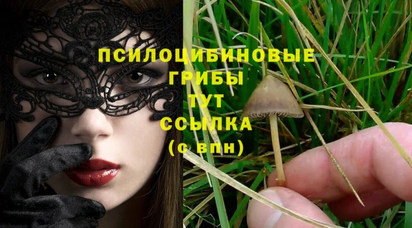 СК Абинск