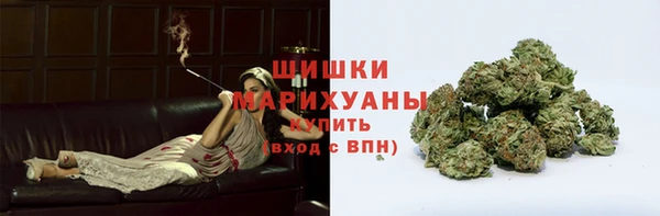 стафф Покачи