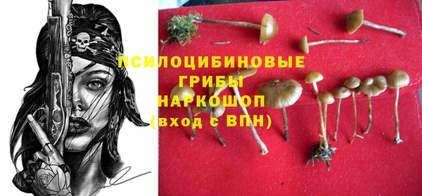 соль ск Абдулино