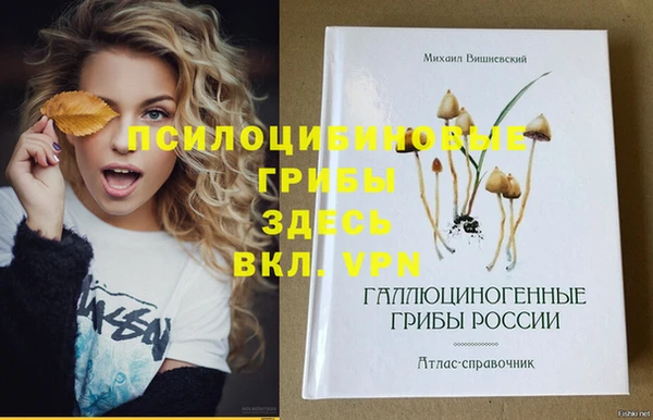 прущий лед Абаза