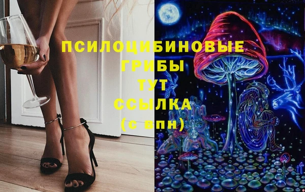 соль ск Абдулино